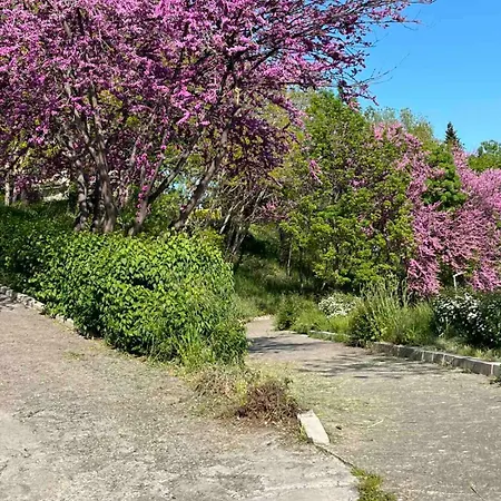 Apartment Barbie-themed 3bdr Penthouse Near The Beach, *